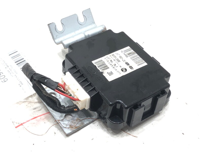 Modul LCD KIA Stinger (CK) 2017 - 2022 95300-J5000