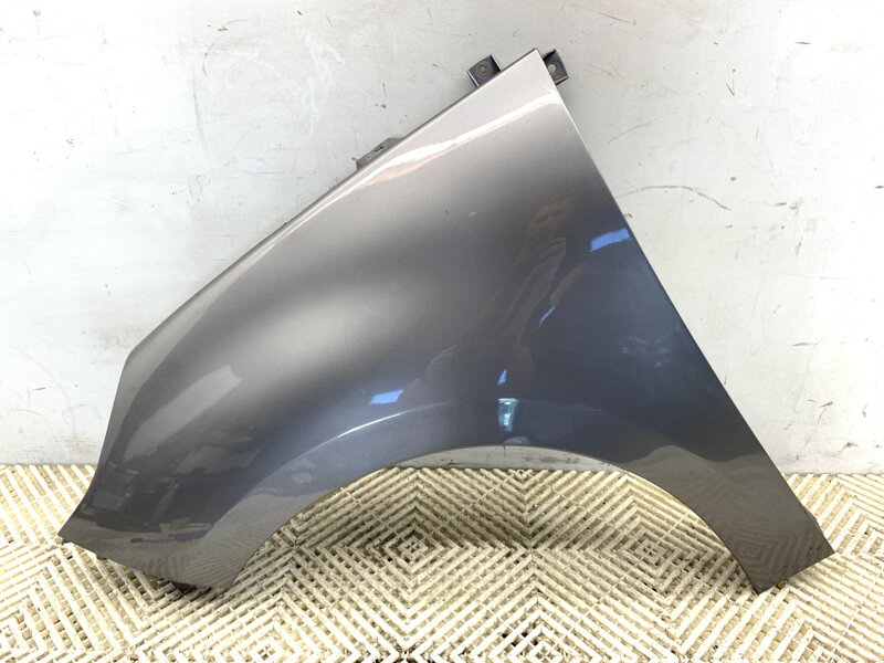 Blatník levý přední Renault Grand Scénic III (JZ0/1_) 2009 - 2022 TEKNG