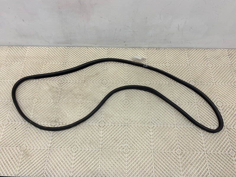 Těsnění dveří přední levé BMW X6 (E71, E72) 2007 - 2014